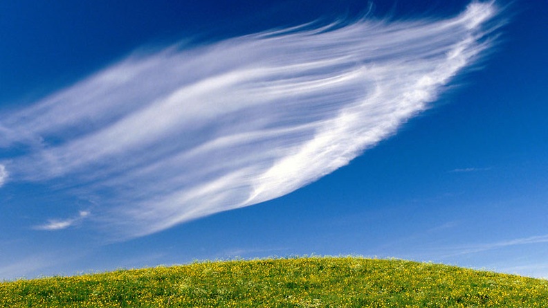 Clouds Sweeping, Springtime Blossoms